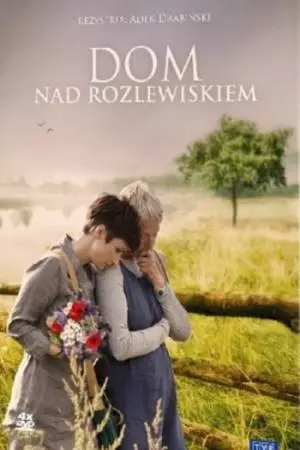 Дом у озера (2009)