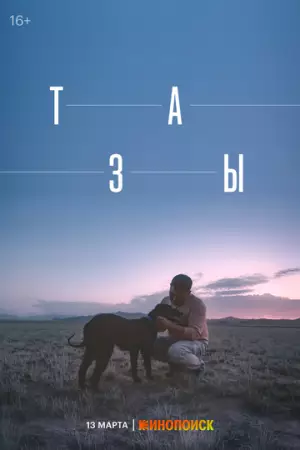 Тазы (2025)