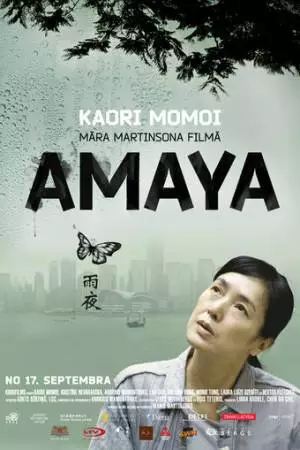 Гонконг, конфиденциально (2010)