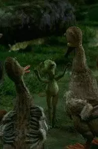 История любви одной лягушки (2005)
