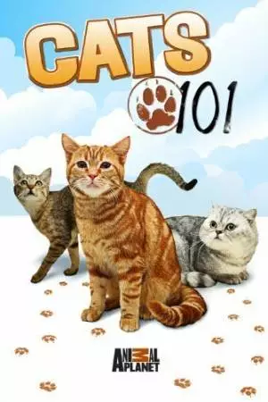 Энциклопедия кошек (2008)
