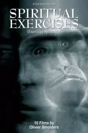 Любитель (1996)